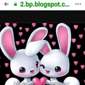 Meet your Posher, Olga